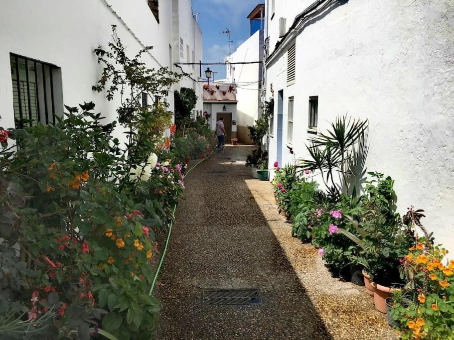 Corazón De Conil Apartamento Conil De La Frontera Exterior foto